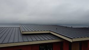 Best Sheet Metal Roofing  in Summersville, WV